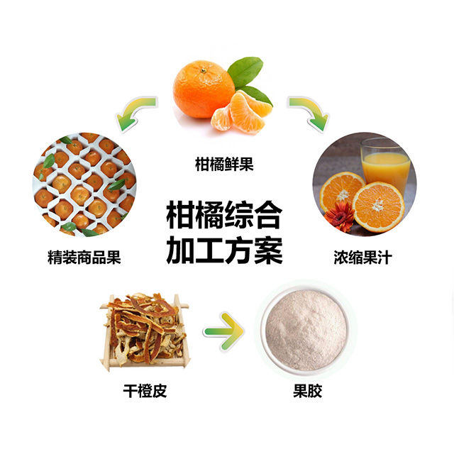 橙、柑橘行业解决方案